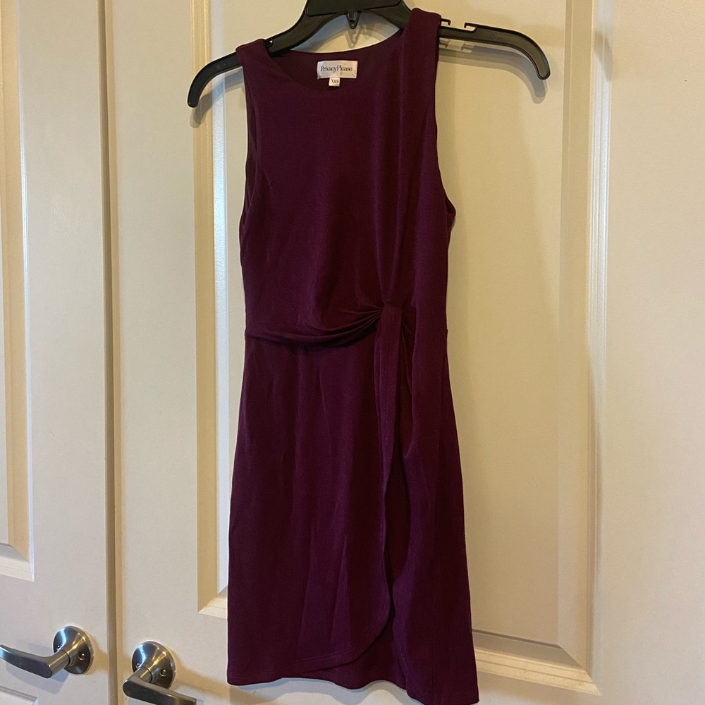 Privacy Please Dress - Picture 2 of 4
